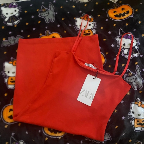 Zara Mini Dress - Picture 3 of 3